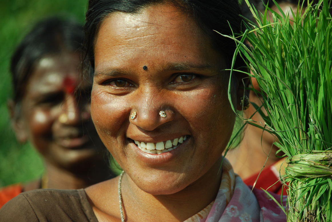 Indian Farmer